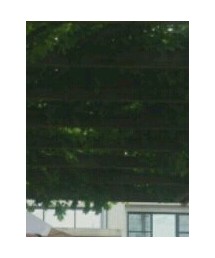 チクビおじさん | 福袋/福箱