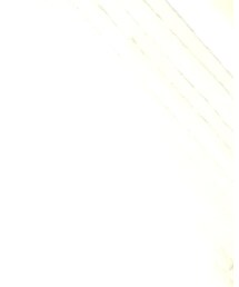 UNIQLO | シャツ/ブラウス