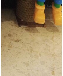 kanebo | レギンス/スパッツ