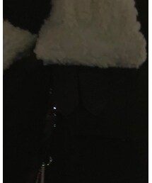 ZARA | ムートンコート