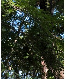 VOTE MAKE NEW CLOTHES | ジャケット/アウター