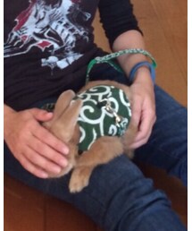 盗っ人 | その他