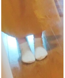 靴下屋 | ソックス/靴下