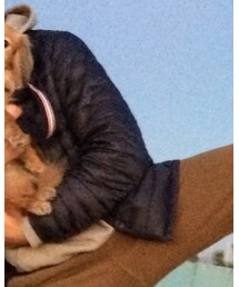 GU | ダウンジャケット/コート