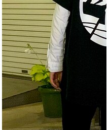 American Eagle | シャツ/ブラウス