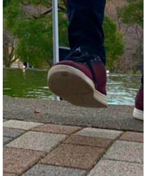 Avail | スニーカー