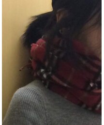 BURBERRY | マフラー