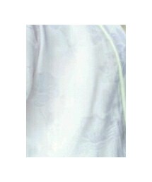 素色汉服 | その他
