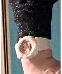 BABY-G | snidelコラボ(アナログ腕時計)