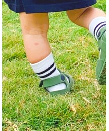 petit main | ソックス/靴下