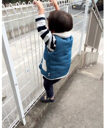 フェンスを登るサル🐒 | その他