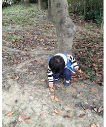 あ、どんぐり〜💕 | その他