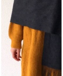 iliann loeb | ワンピース