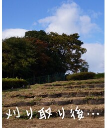 ちーん | その他