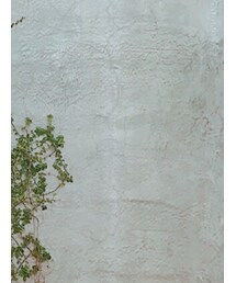 ADOLE | ボストンバッグ