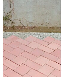 ZARA | スニーカー