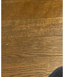 JOHN SMEDLEY | マフラー