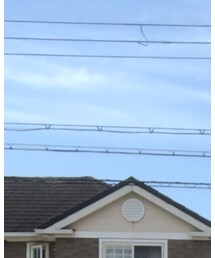 BEAUTY&YOUTH UNITED ARROWS | シャツ/ブラウス