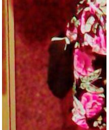 クレヤーズ | バッグ