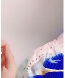 无 | その他