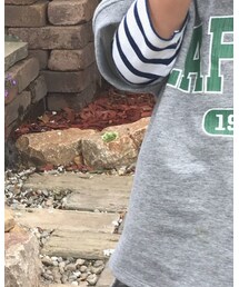 Birthday | トップス