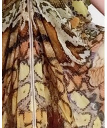 Camilla | ワンピース