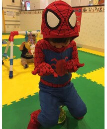 スパイダーマン | その他