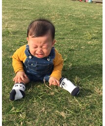 芝生に号泣 | その他