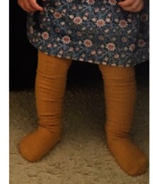 next | タイツ/ストッキング