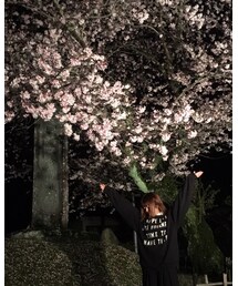 🌸桜の木 | その他
