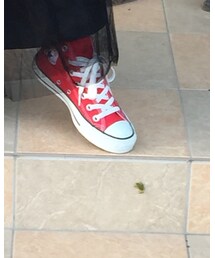🐸🐸🐸 | その他