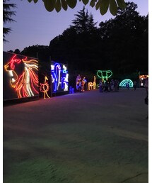 ナイトサファリ🐵 | その他