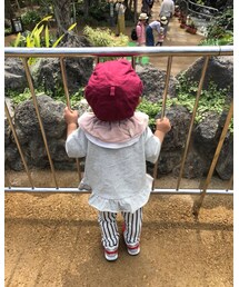 キレイだなぁ | その他