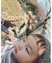 キリンさん🦒 | その他