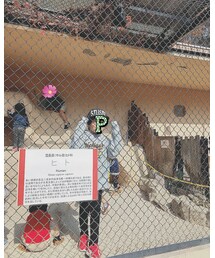 ヒト👦 | その他