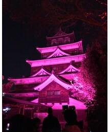 広島城 | その他