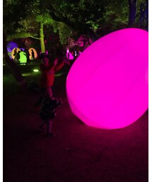 チームラボ | その他