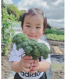 ブロッコリー❤️ | その他