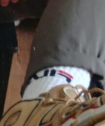 FILA | ソックス/靴下
