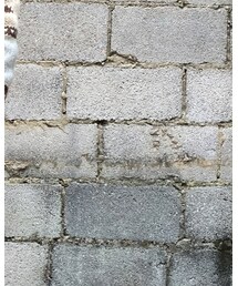 Levi's | シャツ/ブラウス