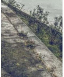 Carhartt | ブルゾン