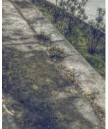 HARRIS TWEED | メッセンジャーバッグ