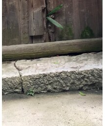 CONVERSE | その他シューズ