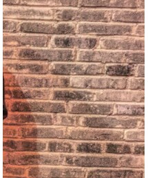 no brand | ピーコート