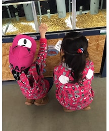 魚を見守るw | その他