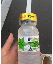 いらないけど嬉しいやつ | その他