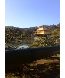 ニッポンダイスキ | その他