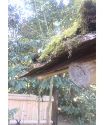 ニッポンイイトコ | その他