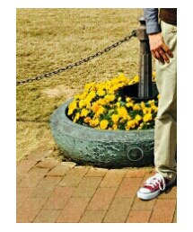 AMERICAN RAG CIE | チノパンツ