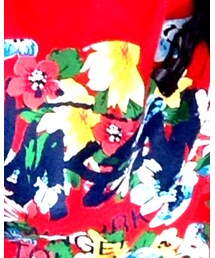 STUSSY | Tシャツ/カットソー